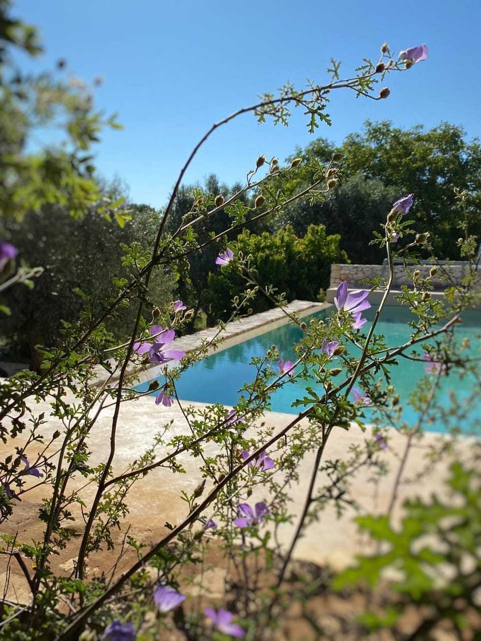 Trulli Settarte con piscina House in Province of Taranto