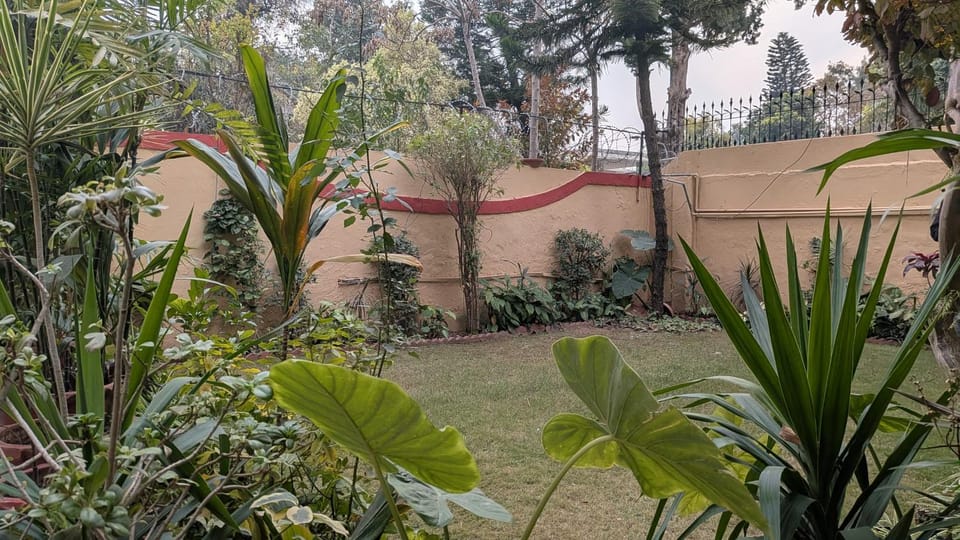 Spring, Day, Garden, Garden view