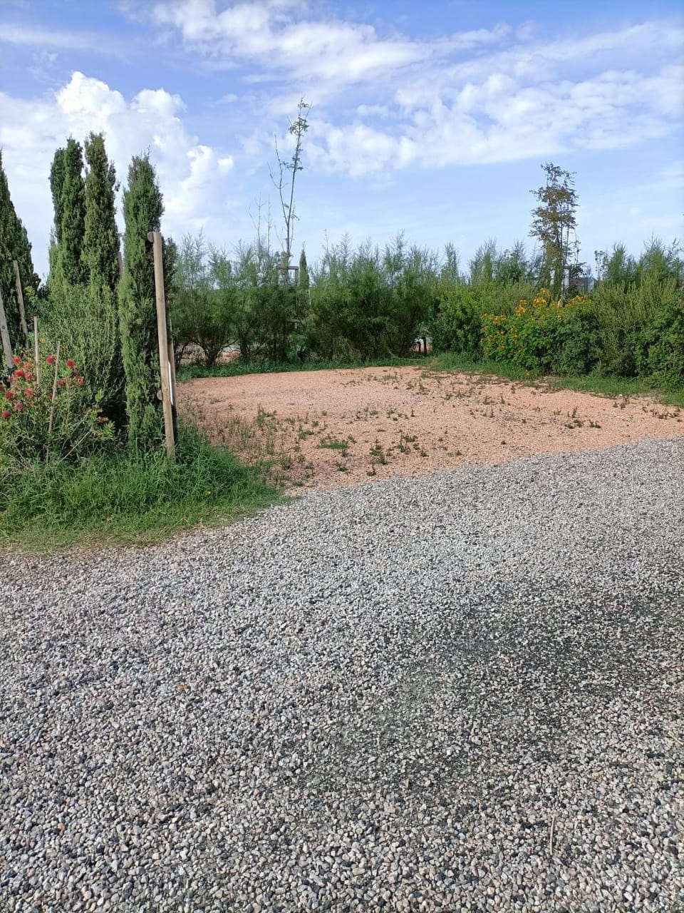 Spring, Day, Natural landscape