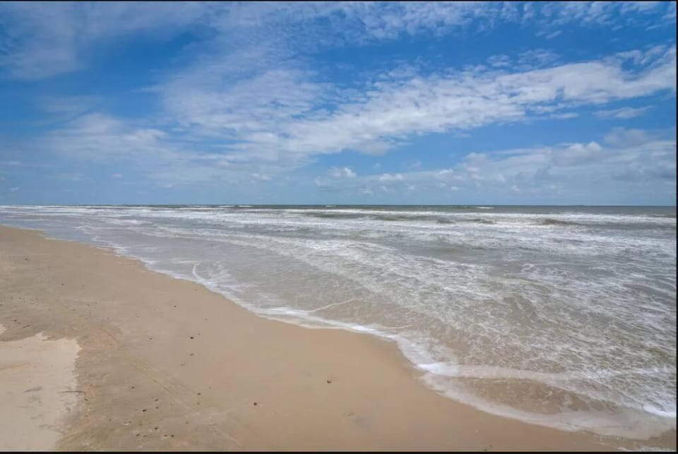 Pelican on Sand Dune - Ocean view! House in Surfside Beach