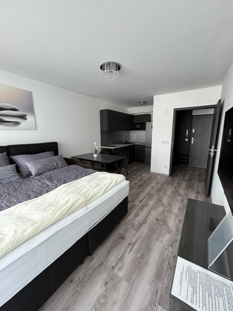 Villa Bauhaus Dream Deluxe T Vacation rental in Siófok