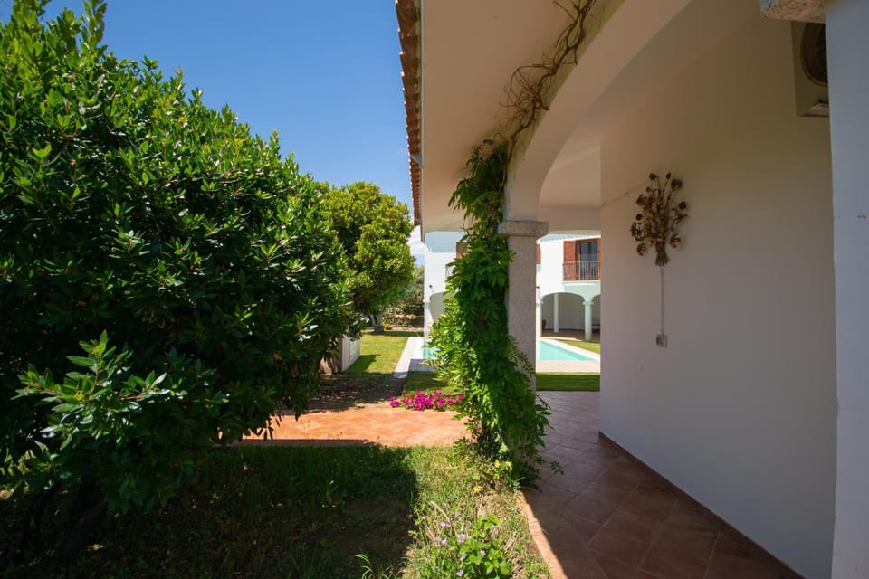 Garden, Pool view