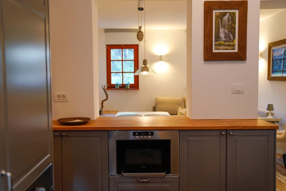Kitchen or kitchenette, Dining area, pet friendly