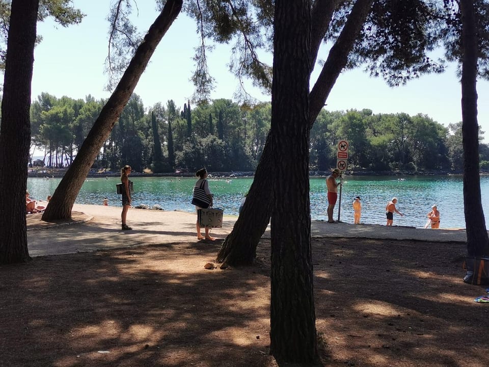 Beach, group of guests