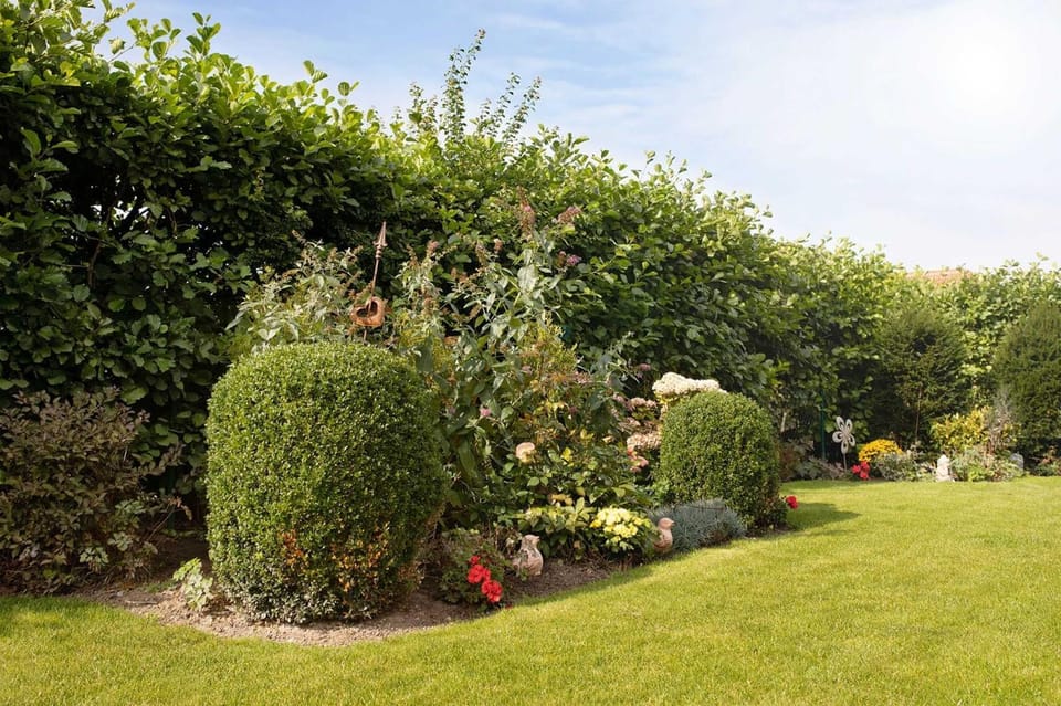 Spring, Natural landscape, Garden