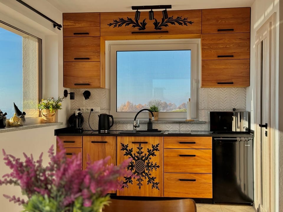 Kitchen or kitchenette, kitchen