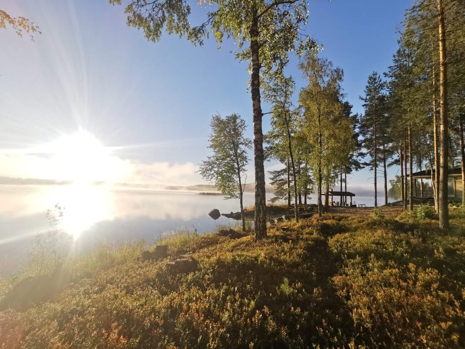 Spring, Natural landscape, Lake view