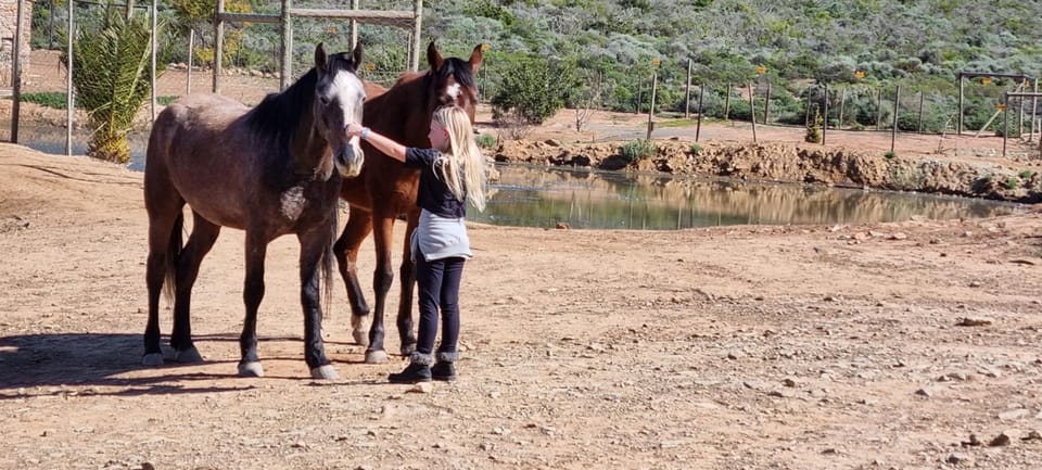Phumelela Private Game Farm Apartment in Western Cape