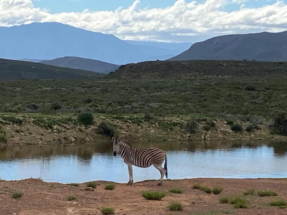 Phumelela Private Game Farm Apartment in Western Cape