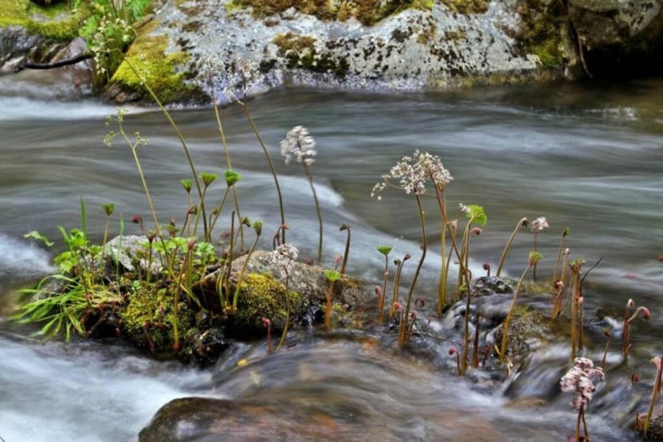 Natural landscape, River view