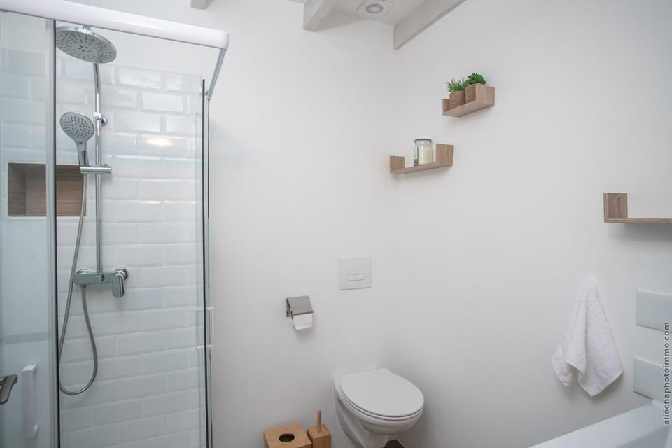 Shower, Toilet, Bathroom, towels