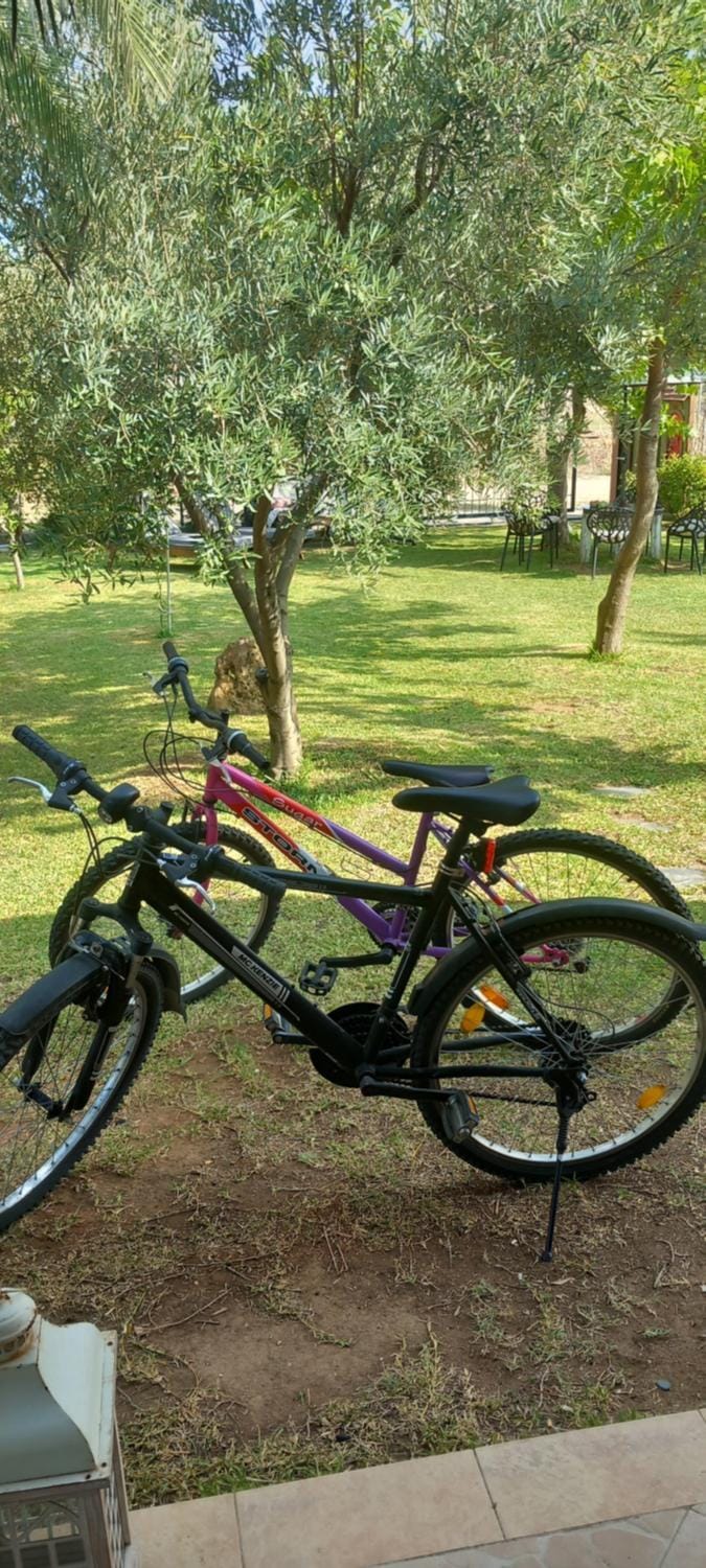 Evdokia Country Maisonette House in Halkidiki