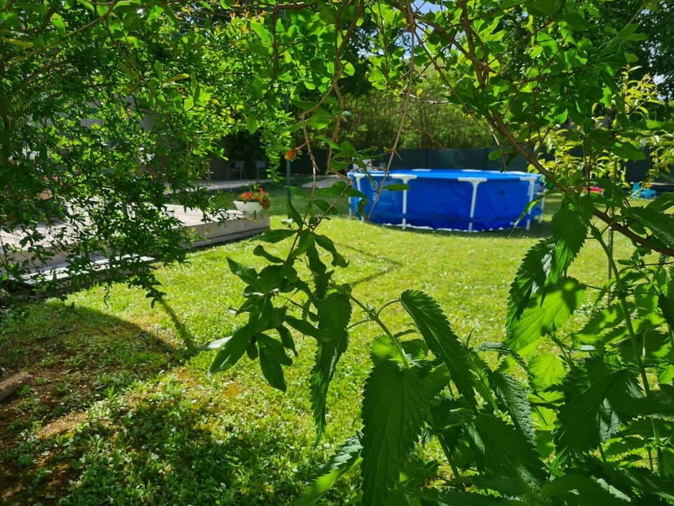 Day, Garden view