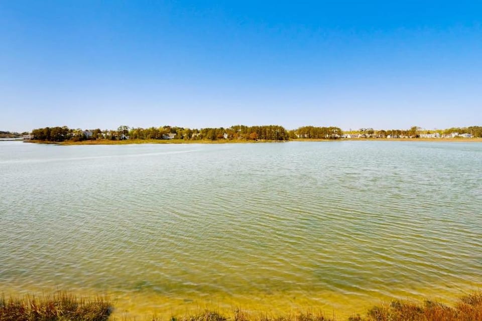 Bethany Marina ---37845 Salt Grass Cove #92 House in Sussex County