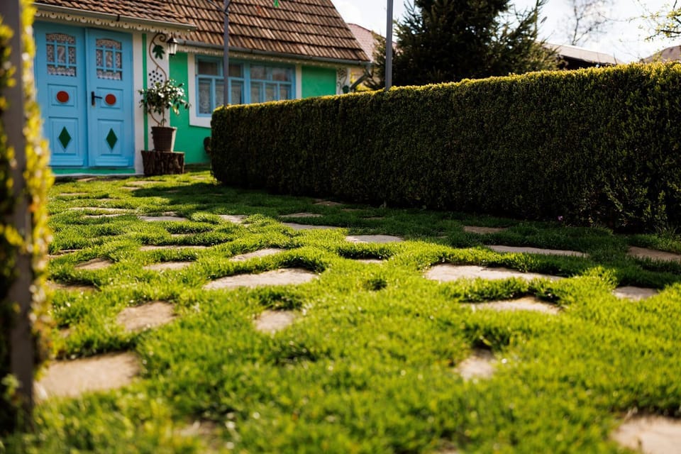 Property building, Natural landscape, Garden view