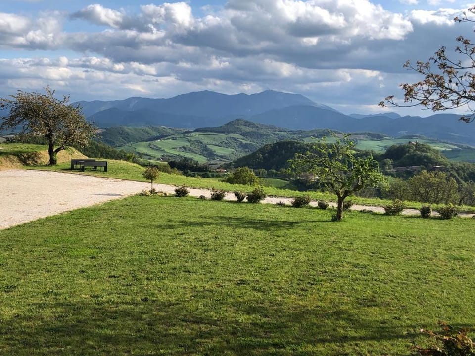 Mountain view