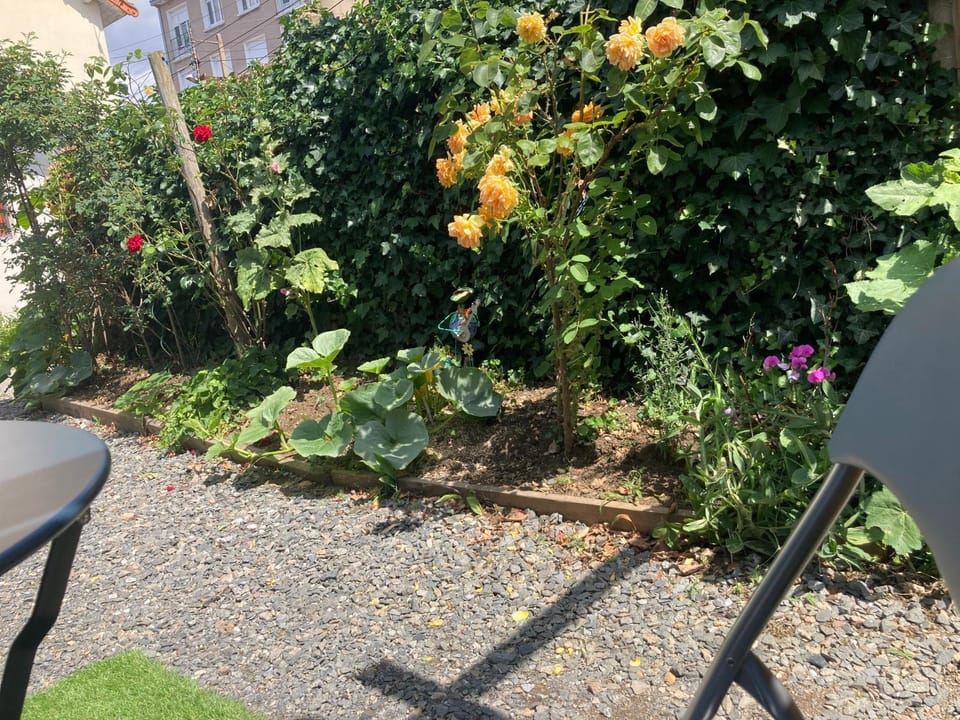 Patio, Balcony/Terrace
