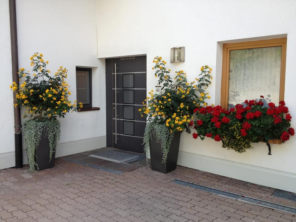 Property building, Garden, Garden view