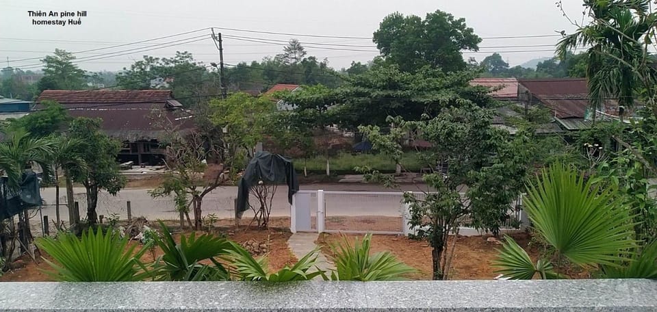 Day, Neighbourhood, Natural landscape, Garden, Garden, Garden view, Street view