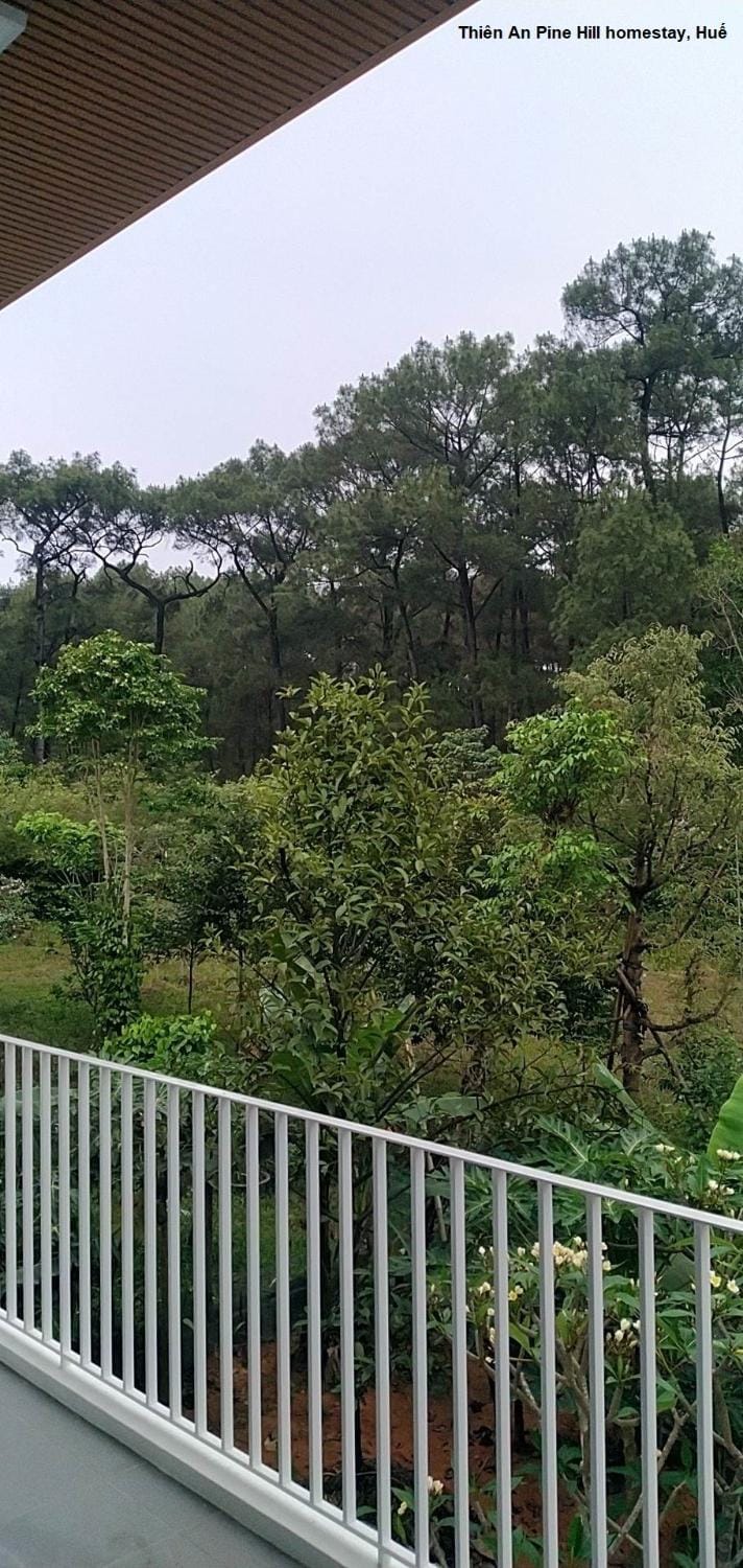 Day, Natural landscape, Garden, View (from property/room), Balcony/Terrace, Garden view