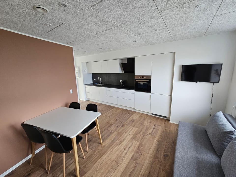 Living room, kitchen