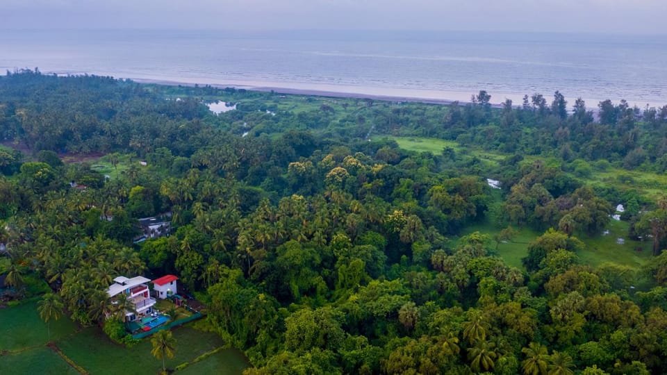 Bird's eye view, View (from property/room)