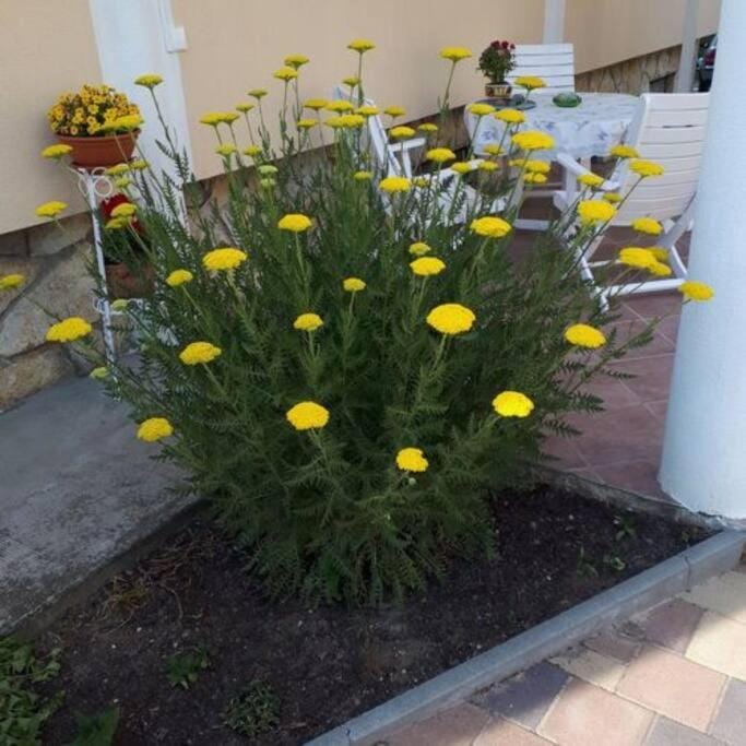 Spring, Day, Garden, Garden view