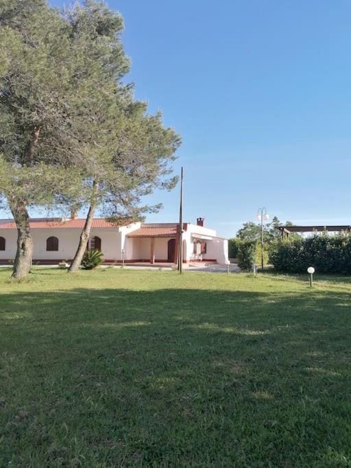 Property building, Garden, Garden view