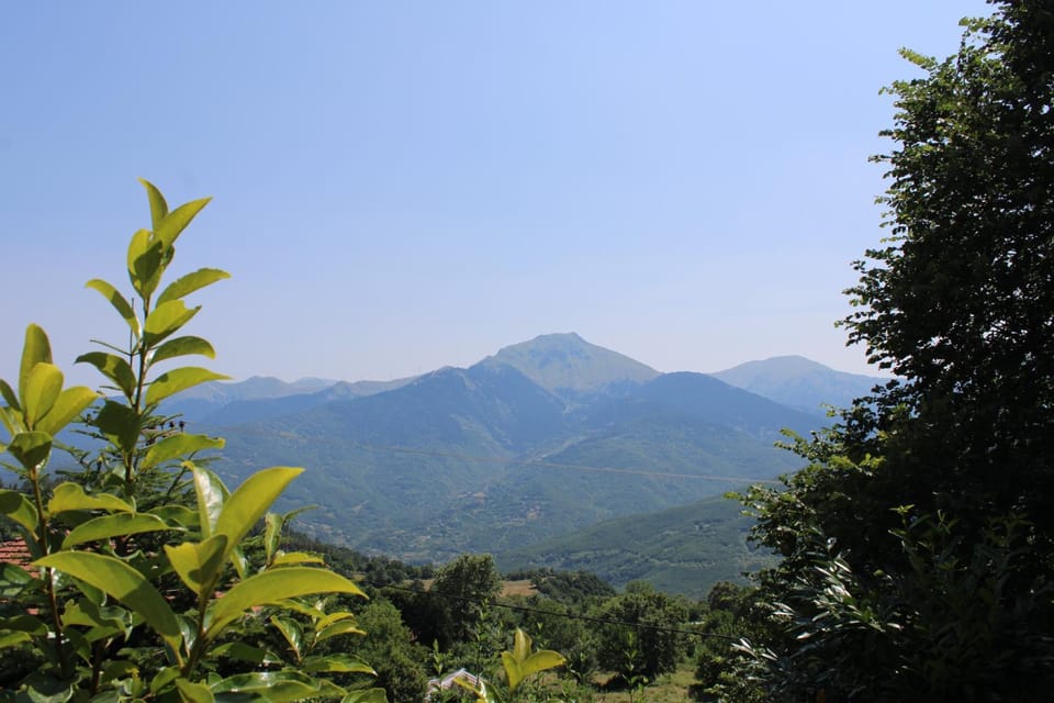 Spring, Day, Natural landscape, Mountain view