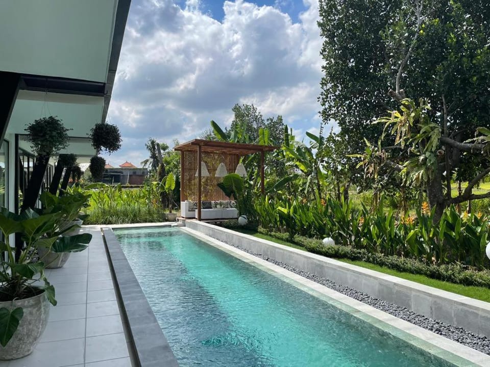 Garden, Swimming pool