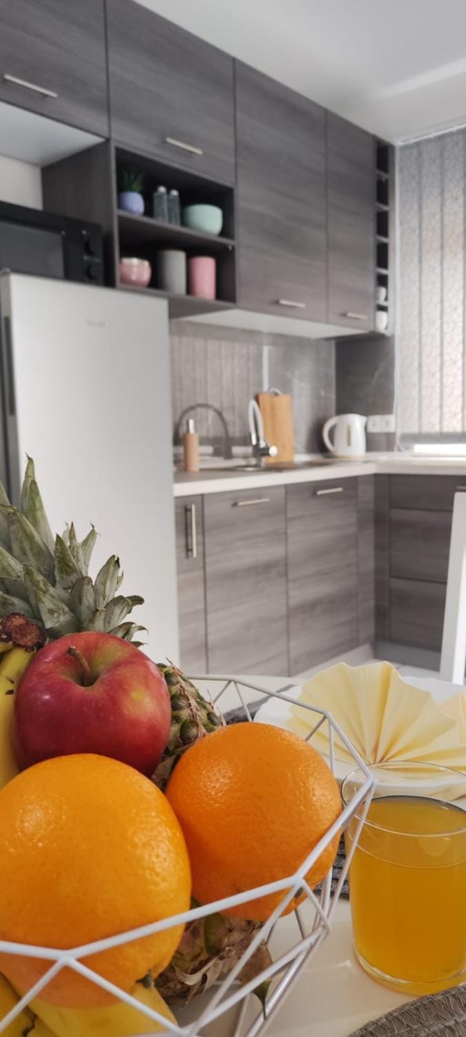 Somero Apartment in Zadar County