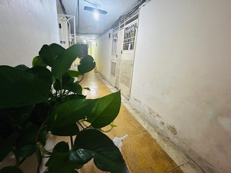 412 Lily's House near Ben Thanh market Apartment in Ho Chi Minh City