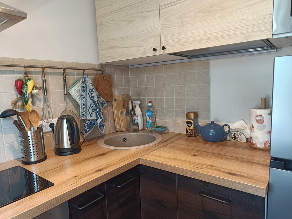 NarvaCenter 2, рядом с границей Apartment in Estonia