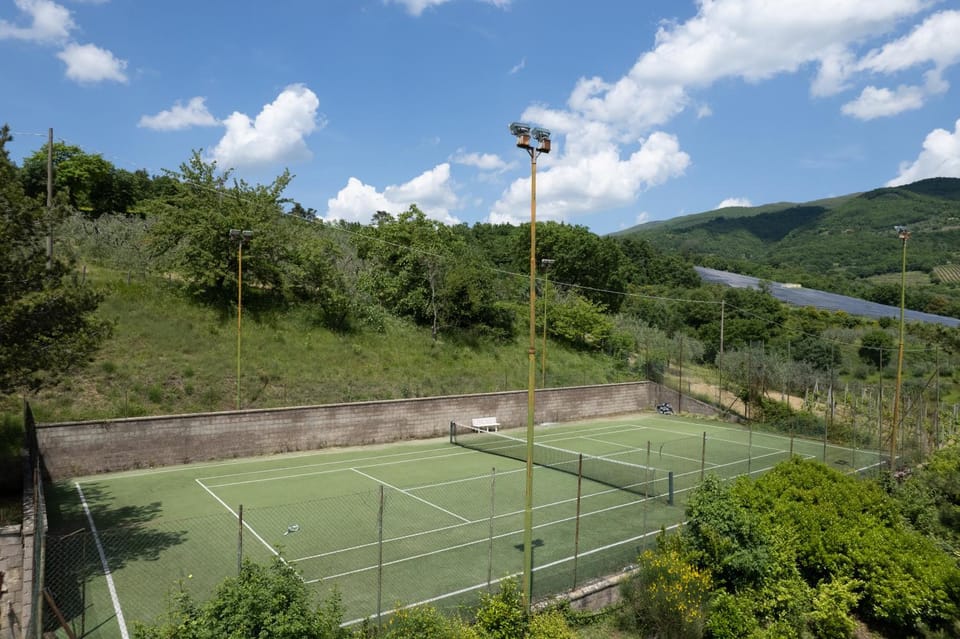 Tennis court