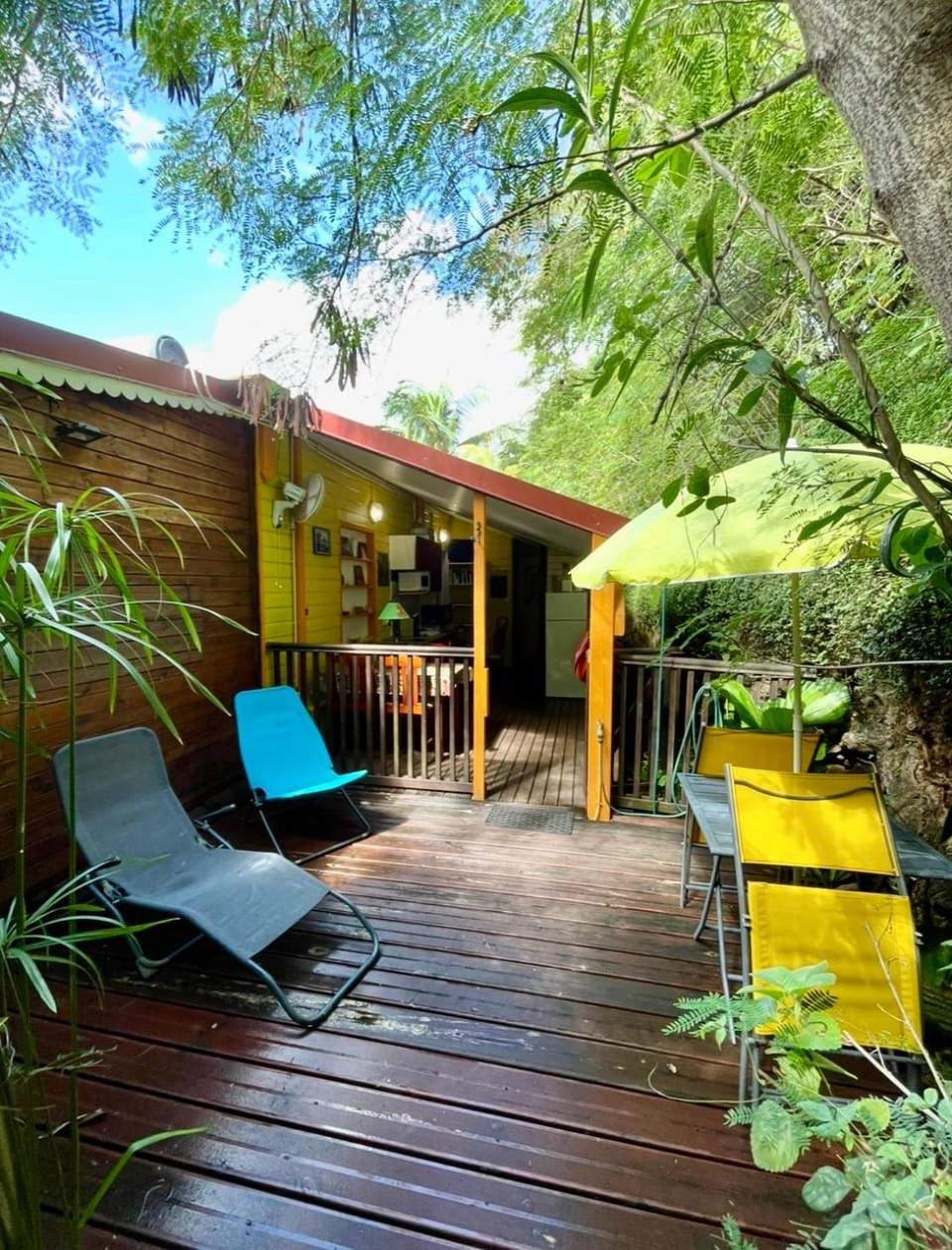 Patio, Garden