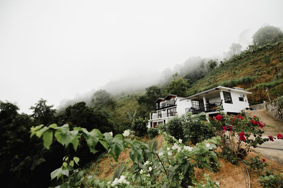 Property building, Spring, Day, Natural landscape, Garden view