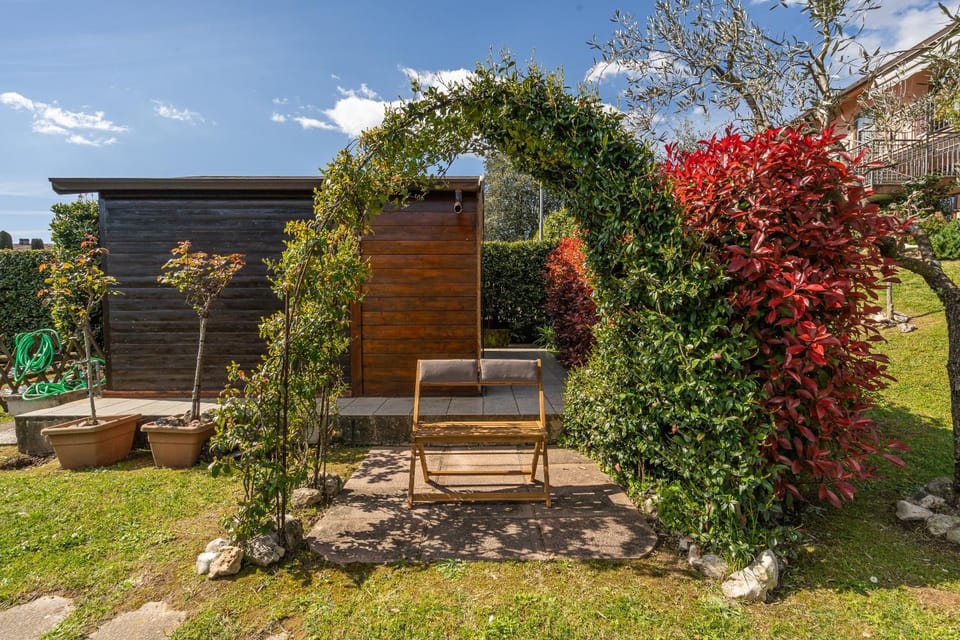 Spring, Day, Garden