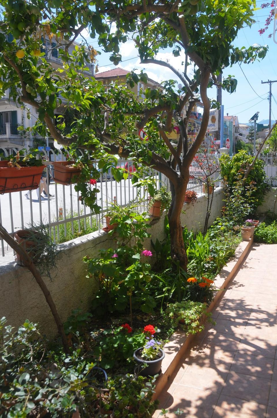 Nonna Apartment in Lefkada