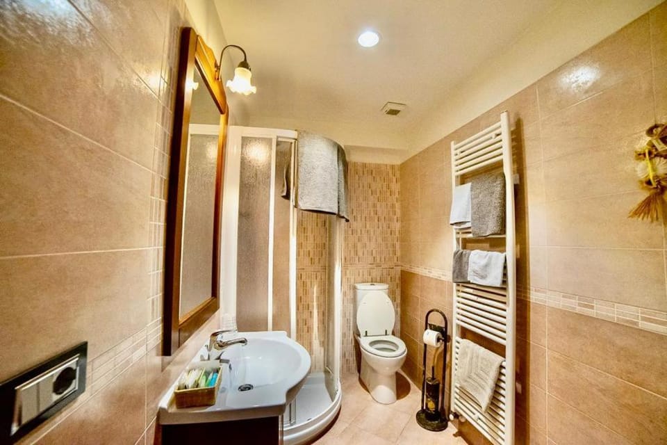 Shower, Toilet, Bathroom, towels