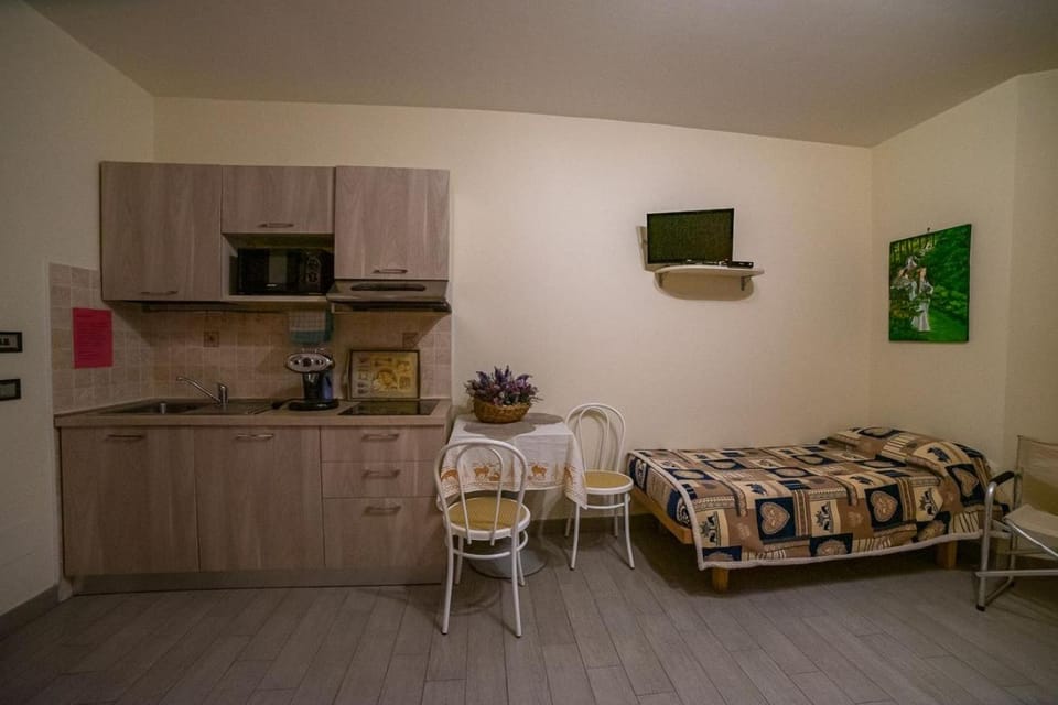 Bed, TV and multimedia, Kitchen or kitchenette, Living room, Photo of the whole room, Seating area, Dining area, Bedroom, minibar
