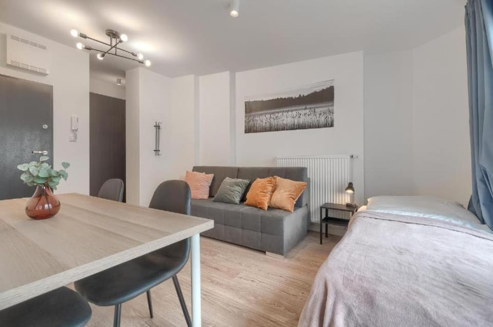 Bed, Living room, Photo of the whole room, Seating area, Dining area, Bedroom