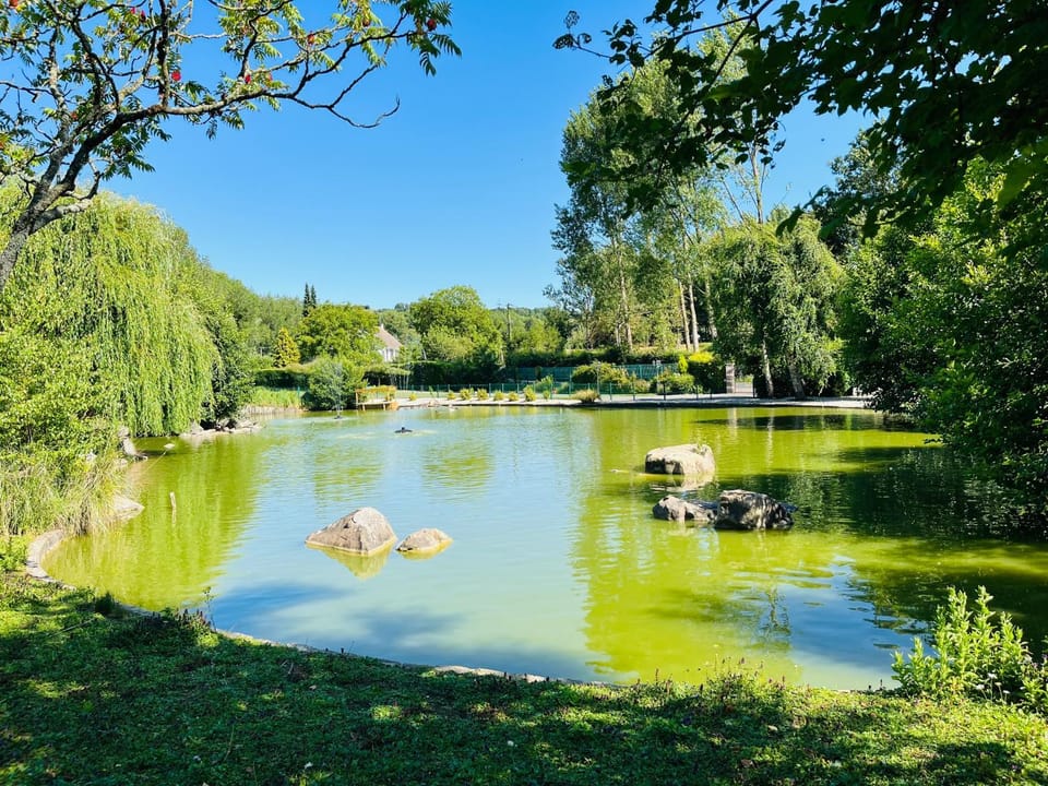 L Éden aux hirondelles & SPA Bed and Breakfast in Hauts-de-France