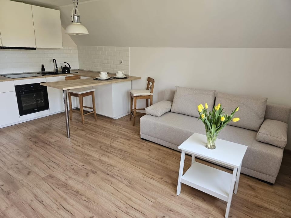 Apartament w sercu Oliwy Apartment in Gdansk