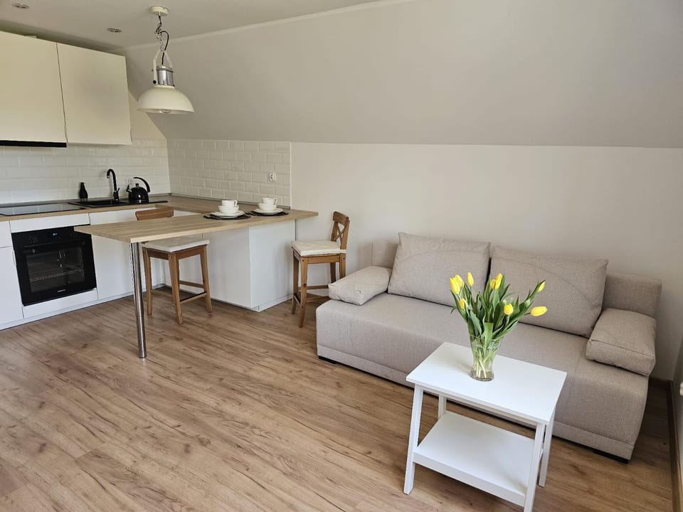 Apartament w sercu Oliwy Apartment in Gdansk