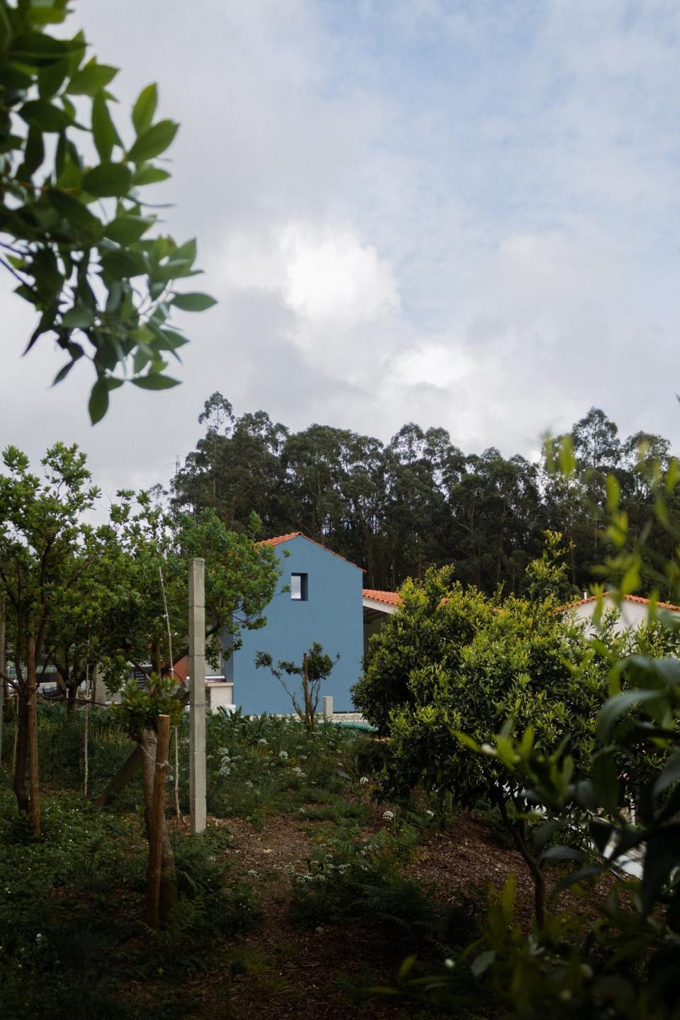 Property building, Garden view