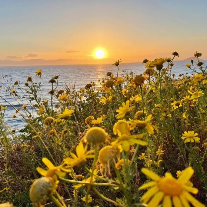 Natural landscape, Sea view, Sunrise