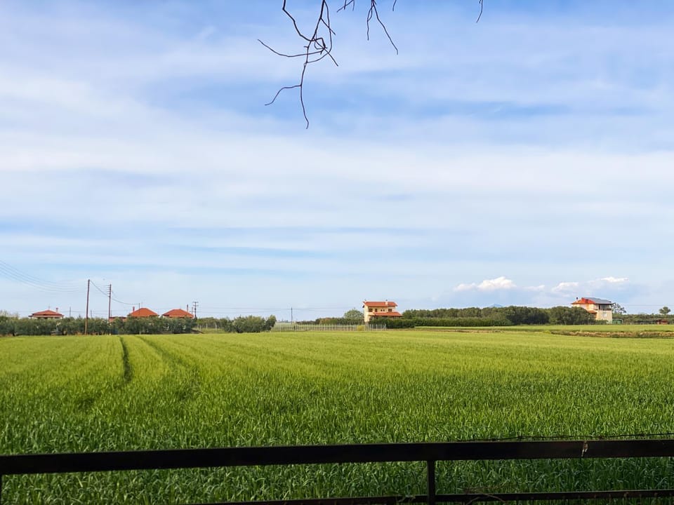 View (from property/room)