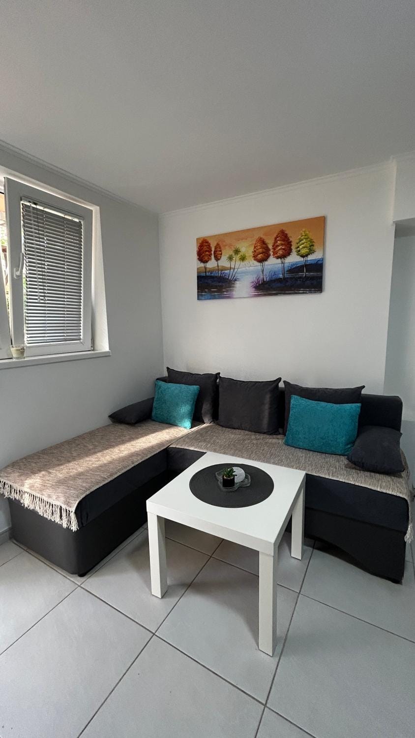 Apartman Tomić Sokobanja Apartment in Serbia