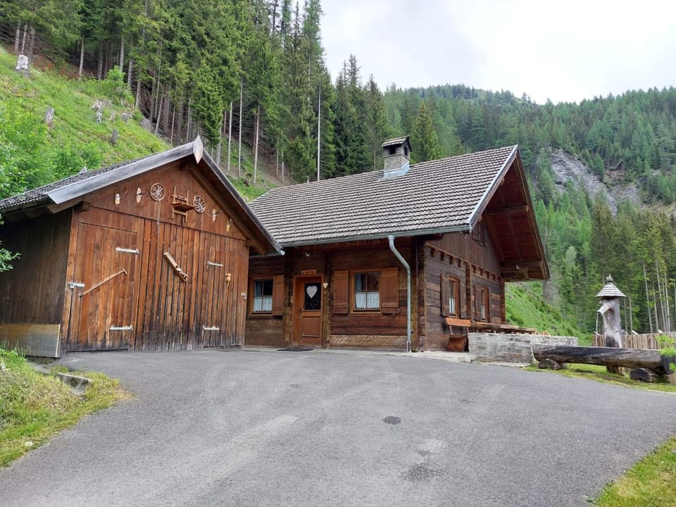 Siegel Almhütte House in Salzburgerland