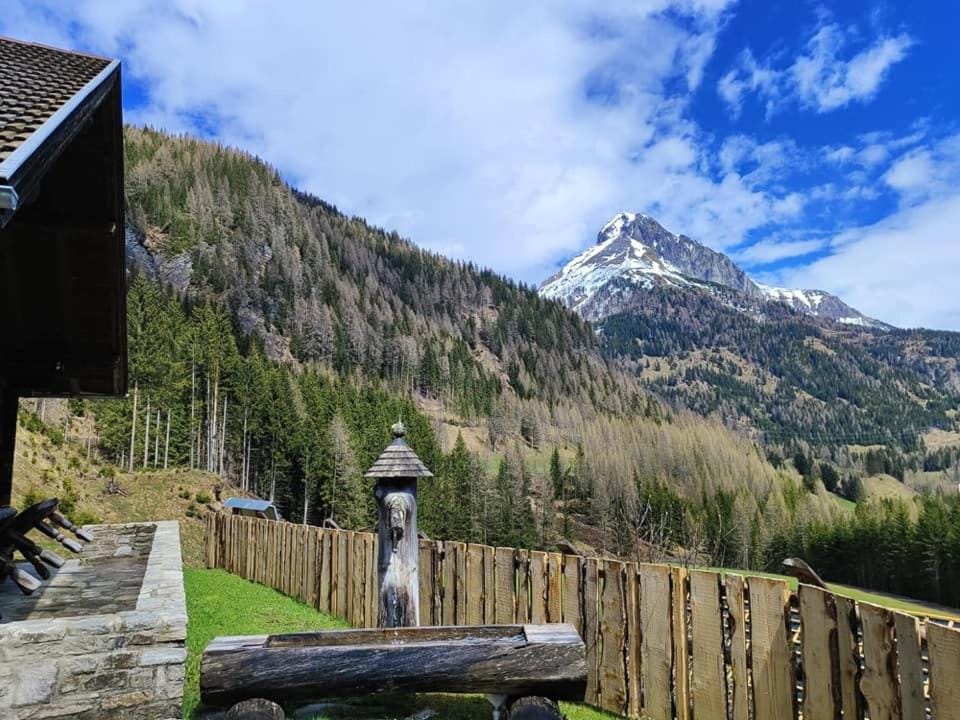 Siegel Almhütte House in Salzburgerland